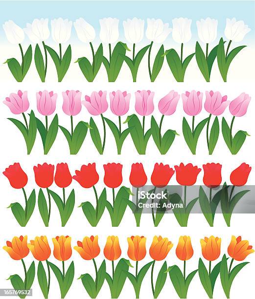 Tulpe Stock Vektor Art und mehr Bilder von Blatt - Pflanzenbestandteile - Blatt - Pflanzenbestandteile, Blume, Bunt - Farbton