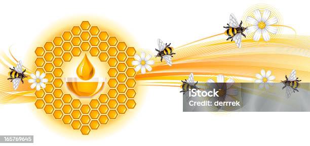 Apis Stock Vektor Art und mehr Bilder von Biene - Biene, Bienenwabe, Gelb