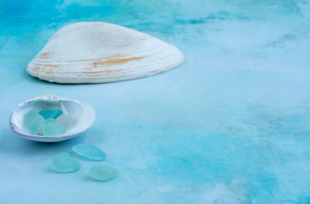 istock Beautiful Sea Glass and Shells 1657710159