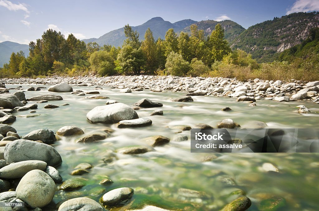 streambed in 야생 환경을 - 로열티 프리 Valle Verzasca 스톡 사진