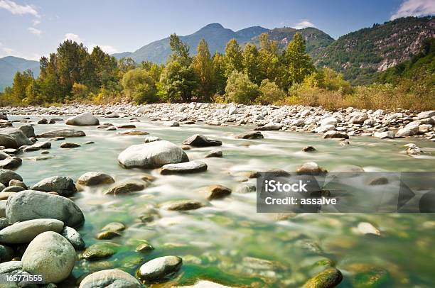 Streambed In 야생 환경을 Valle Verzasca에 대한 스톡 사진 및 기타 이미지 - Valle Verzasca, 스위스, 고여 있는 물