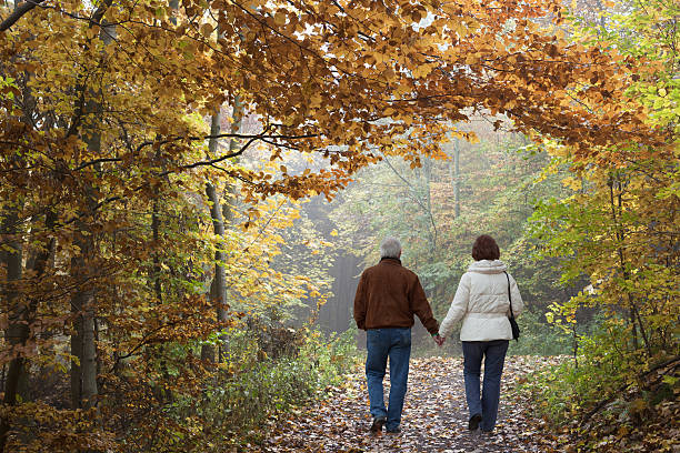 istock Rear view on senior couple walking in autumn forest (XXXL) 165773736