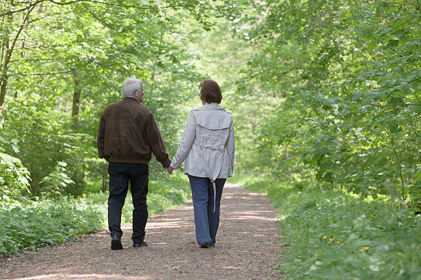 istock Rear view on senior couple walking through forest in spring 165773744