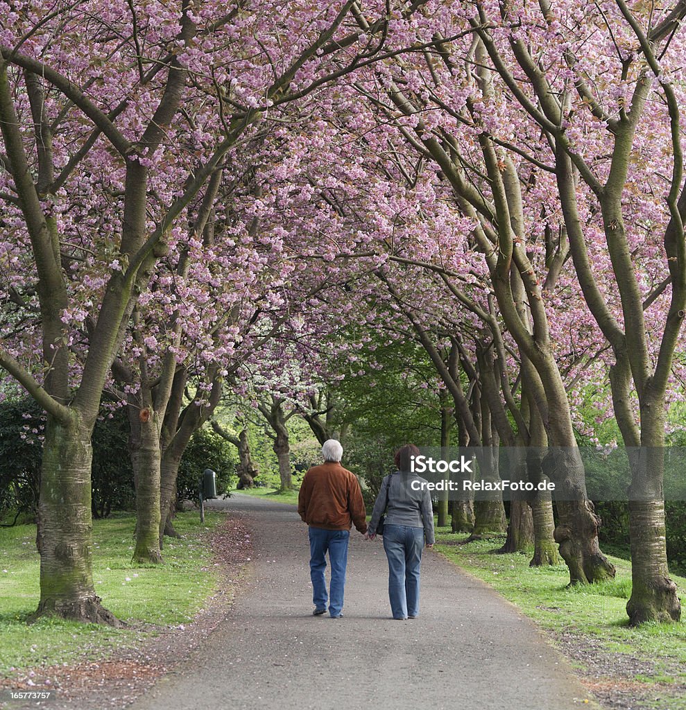 Вид сзади на Пожилая пара ходить в цветущие деревья вишни - Стоковые фото Ходьба роялти-фри