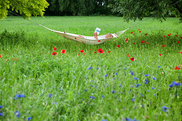 mulher madura deitado na rede no jardim lendo livro - summer women hammock nature - fotografias e filmes do acervo