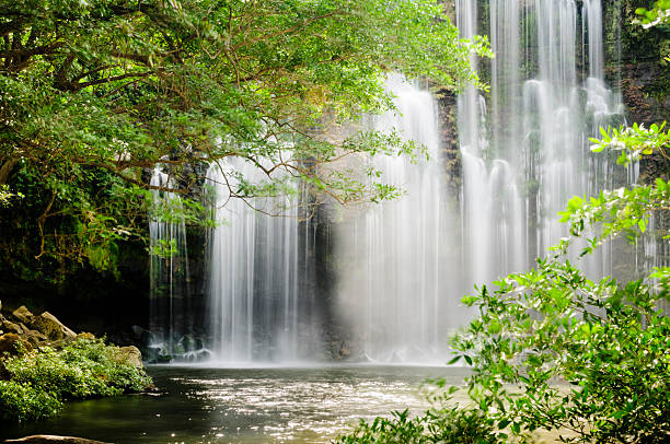 Tropical waterfall with backlit leaves stock photo