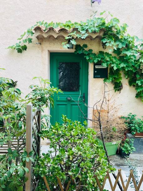 istock Emerald Green door 1657758339
