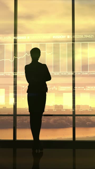Silhouette of business woman and stock exchange infographics