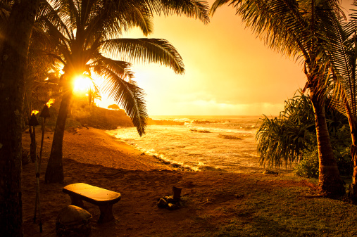 hawaiian sunset / sun poking through the palm trees / waves breaking on shore