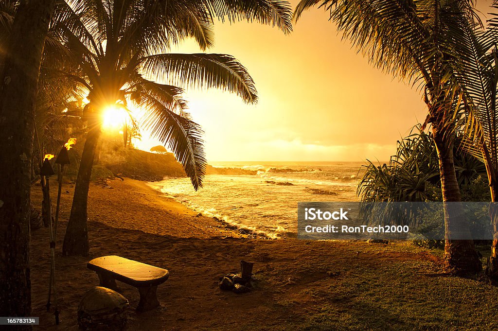 Pôr do sol do havaiano - Foto de stock de Praia royalty-free