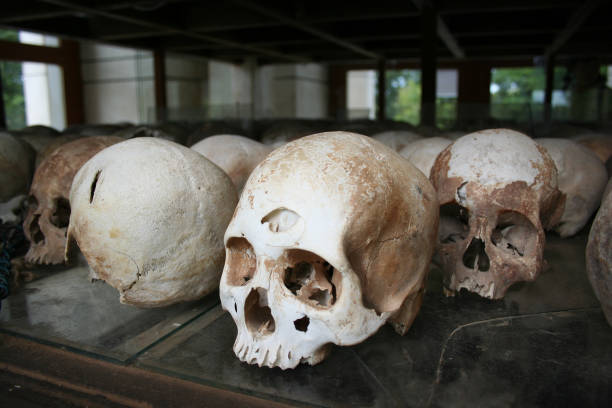 menschliche schädel in einem killing fields-denkmal - völkermord in kambodscha stock-fotos und bilder