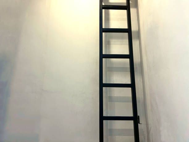 istock stairway to success. 1657842929