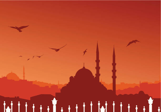 stockillustraties, clipart, cartoons en iconen met i̇stanbul - mosque