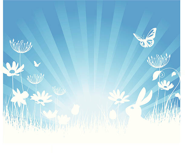 ilustraciones, imágenes clip art, dibujos animados e iconos de stock de primavera/verano escena en cielo azul - daffodil flower silhouette butterfly