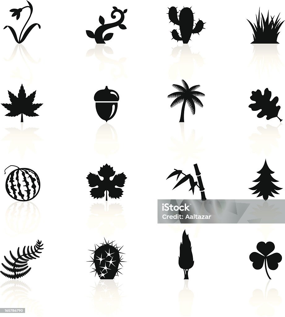 Ilustración de negro símbolos Botánico - arte vectorial de Bellota libre de derechos