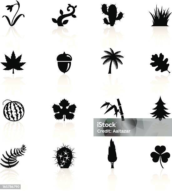 Illustration Of Black Botanic Symbols Stock Illustration - Download Image Now - Acorn, Cypress Tree, Vector