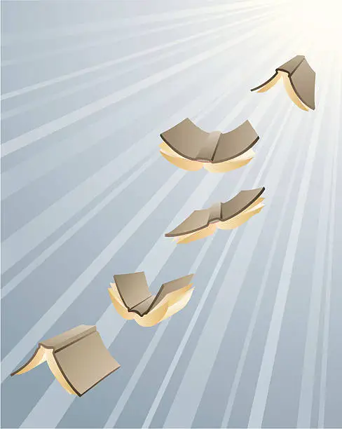 Vector illustration of Books Flight