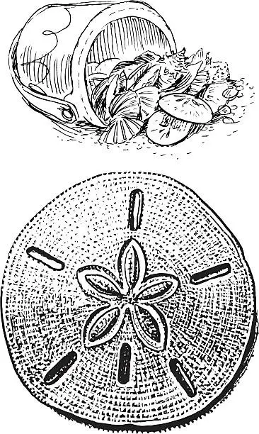 Vector illustration of Sand Dollar and Sea Shell Bucket
