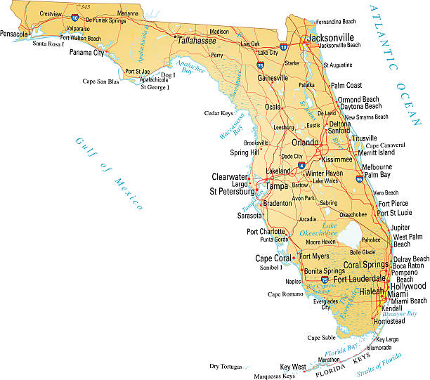 карта флорида - florida cartography map florida keys stock illustrations