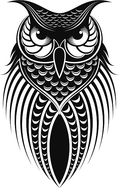 owl owl illustration. owl illustrations stock illustrations