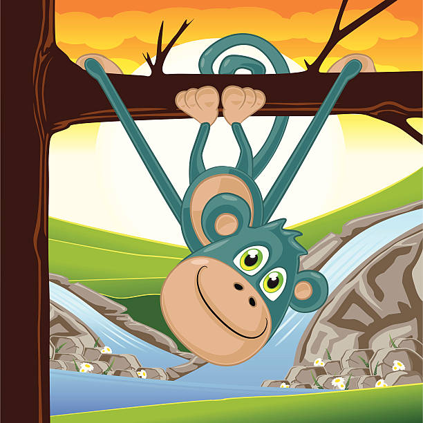 monkey wiszące na drzewie - waterfall cartoon tropical rainforest vector stock illustrations