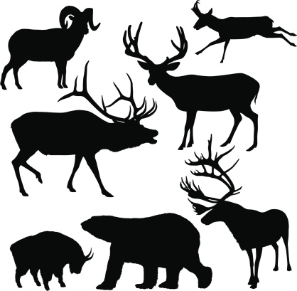 Large mammal wildlife animal silhouettes.