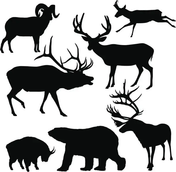 Vector illustration of Large Mammal Silhouettes