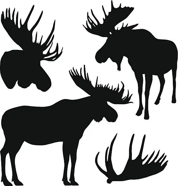 Vector illustration of Moose Silhouettes