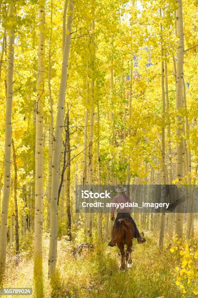 Rocky Mountain Lifestyle Stock Photo - Download Image Now - Horseback Riding, Autumn, Horse