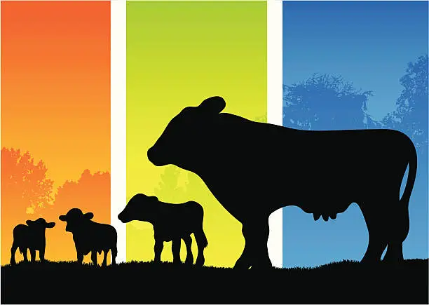Vector illustration of Cow silhouettes in the country