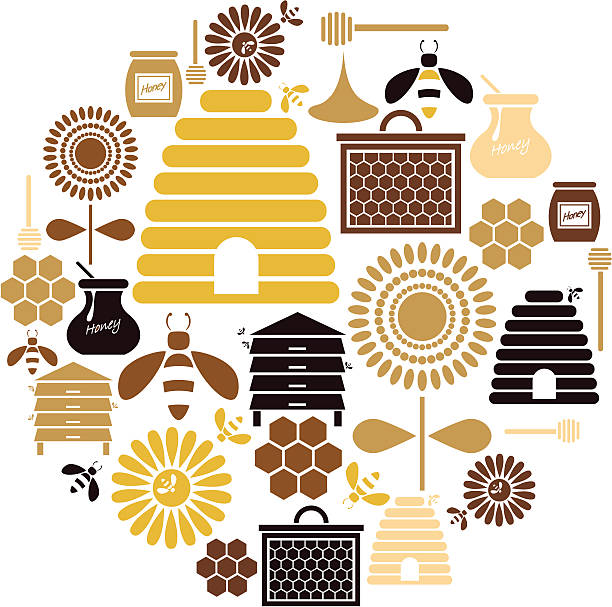miód zestaw ikon - bee honey bee single flower honey stock illustrations
