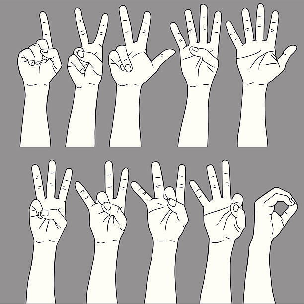 ilustrações, clipart, desenhos animados e ícones de número de linguagem de sinais - hand sign human hand sign language three fingers