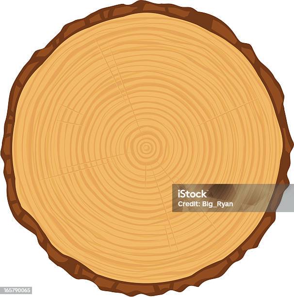 Baum Ringe Stock Vektor Art und mehr Bilder von Jahresring - Jahresring, Baum, Querschnitt