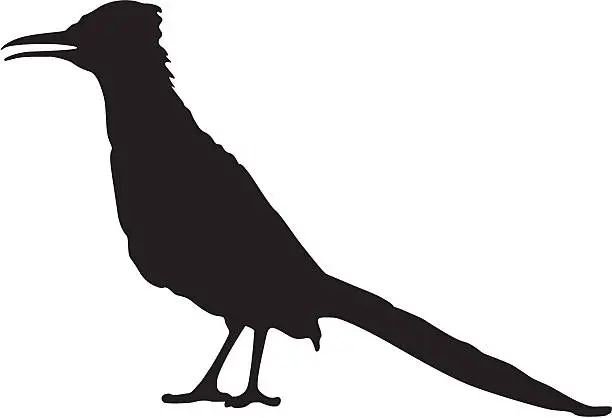 Vector illustration of Roadrunner