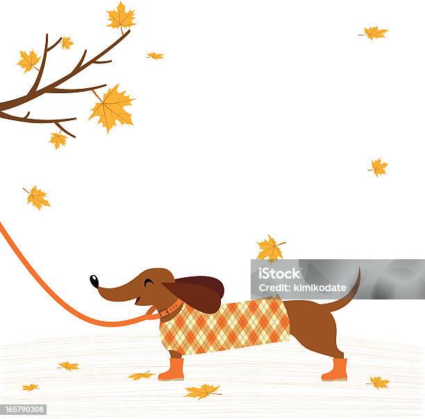 Такса Собака В Пальто — стоковая векторная графика и другие изображения на тему Собака - Собака, Осень, Такса