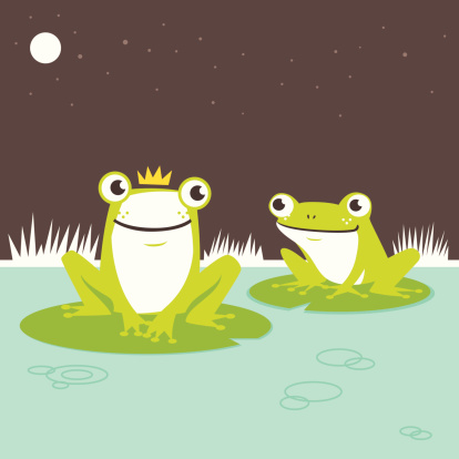 Frog prince hanging out with his fellow friend on the pond. 