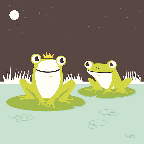 Frog prince Frog prince hanging out with his fellow friend on the pond.  frog illustrations stock illustrations