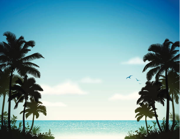 тропический пляж с пальмами - tropical climate island beach branch stock illustrations