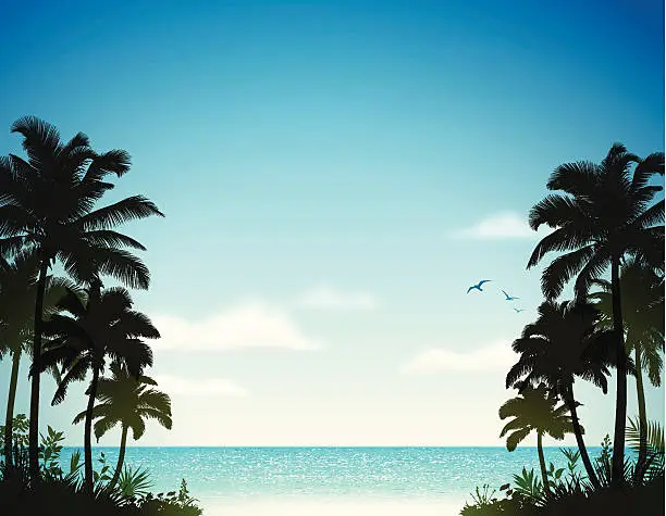 Vector illustration of Tropical Beach with Palm Trees