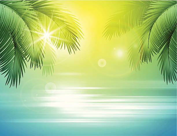Sea and palm landscape Vector illustration - Sea and palm landscape tropical beach and clouds scene stock illustrations