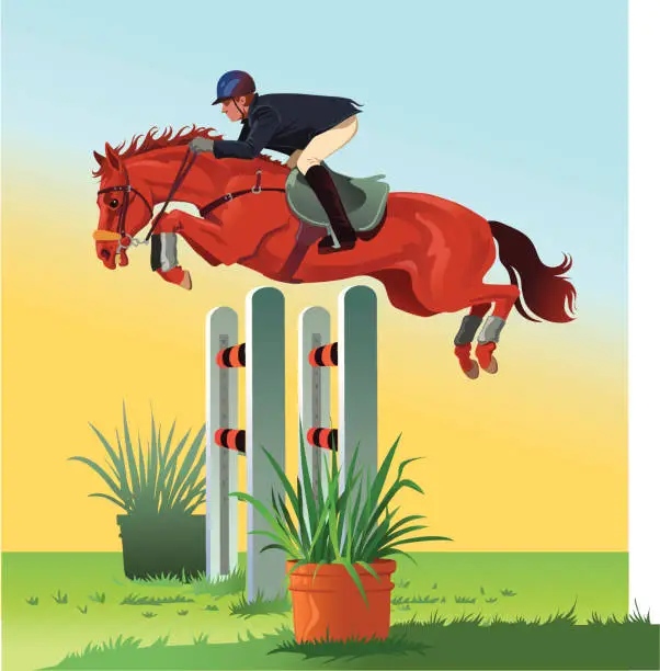 Vector illustration of Horse jumping over the Hurdle