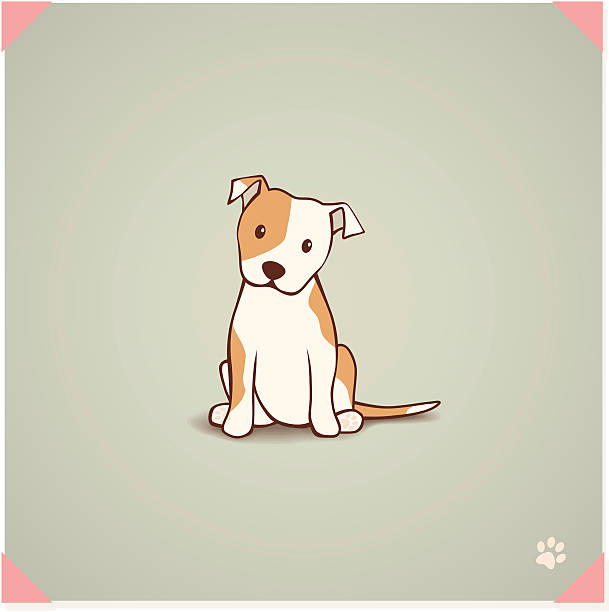 ilustraciones, imágenes clip art, dibujos animados e iconos de stock de bull terrier de staffordshire cachorro - dog sitting