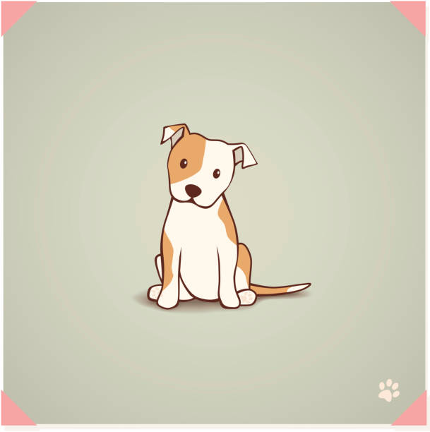Staffordshire Bull Terrier Puppy Staffordshire Bull Terrier Puppy Sitting cute puppy sitting stock illustrations