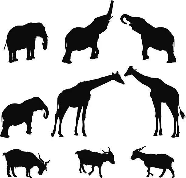 Vector illustration of Silhouette of wild animals
