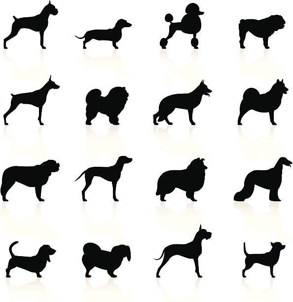 schwarze symbole-hunde - dog malamute sled dog bulldog stock-grafiken, -clipart, -cartoons und -symbole