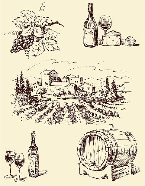 weinbau - wine region stock-grafiken, -clipart, -cartoons und -symbole