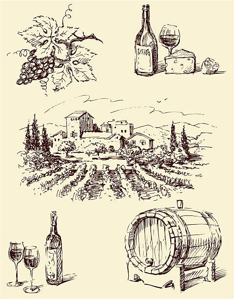 Line drawings of winemaking imagery Vector drawings on the theme of wine. wine illustrations stock illustrations