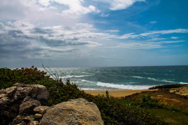 istock Sneak peak at the beach 1657912981