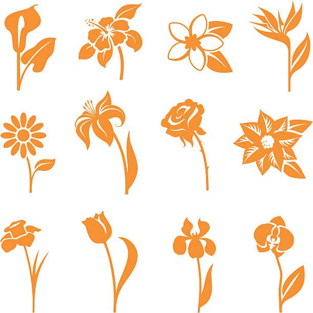 Twelve orange flower icons isolated on white background Flower icons - gradient free and easy to change colour. plant stem stock illustrations