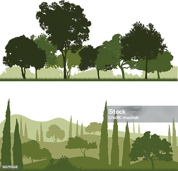 Les Paysages Vecteurs libres de droits et plus d'images vectorielles de Conifère - Conifère, Forêt, Prairie